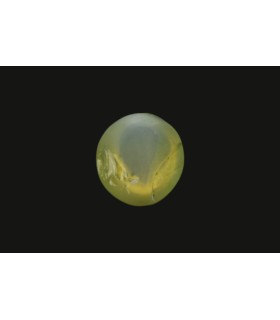 .92 ct Natural Cats Eye - Lehsunia (SKU:90075087)