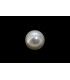 3.55 cts Cultured Pearl (Moti)
