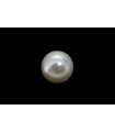 3.55 cts Cultured Pearl (Moti)