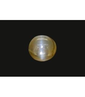 .82 ct Natural Cats Eye (Lehsunia)