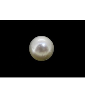 3.1 cts Cultured Pearl (Moti)