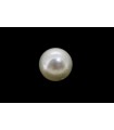 3.1 cts Cultured Pearl (Moti)