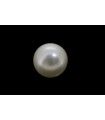 3.17 cts Cultured Pearl (Moti)