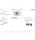 4.06 cts Unheated Natural Blue Sapphire - Neelam (SKU:90156663)