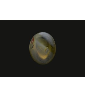 2.37 cts Natural Cats Eye - Lehsunia (SKU:90075209)