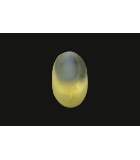 2.58 cts Natural Cats Eye - Lehsunia (SKU:90075254)