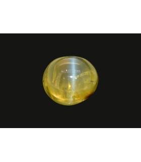 2.73 cts Natural Cats Eye (Lehsunia)