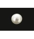 2.65 cts Natural Pearl (Moti)