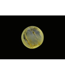 3.84 cts Natural Cats Eye - Lehsunia (SKU:90074714)