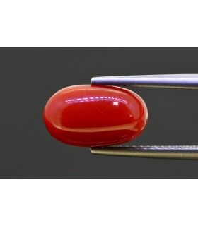 4.56 cts Natural Coral (Moonga)