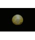 2.86 cts Natural Cats Eye - Lehsunia (SKU:90074721)