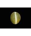 2.64 cts Natural Cats Eye (Lehsunia)