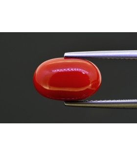 5.28 cts Natural Coral (Moonga)
