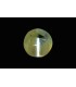 2.96 cts Natural Cats Eye (Lehsunia)