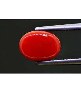3.48 cts Natural Coral - Moonga (SKU:90159237)