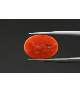 4.79 cts Natural Coral - Moonga (SKU:90074875)