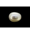 2.73 cts Natural Coral (Moonga)