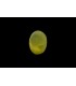 1.61 cts Natural Cats Eye - Lehsunia (SKU:90074974)