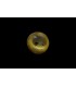 1.28 cts Natural Cats Eye - Lehsunia (SKU:90075124)