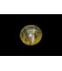 1.1 cts Natural Cats Eye (Lehsunia)