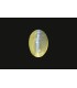 .78 ct Natural Cats Eye (Lehsunia)