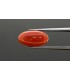 4.79 cts Natural Coral (Moonga)