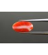 4.79 cts Natural Coral - Moonga (SKU:90080975)