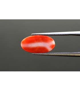 4.79 cts Natural Coral - Moonga (SKU:90080975)