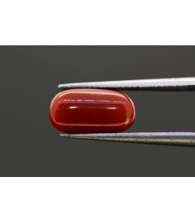 3.09 cts Natural Blue Sapphire (Neelam)