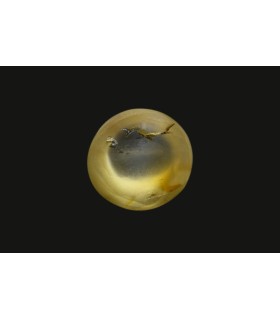 2.51 cts Natural Cats Eye - Lehsunia (SKU:90075278)