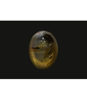 1.51 cts Natural Cats Eye - Lehsunia (SKU:90075292)