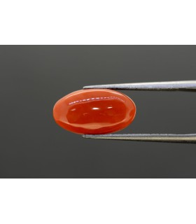12.96 cts Unheated Natural Ruby (Manak)