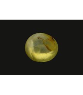 2.73 cts Natural Cats Eye - Lehsunia (SKU:90075339)