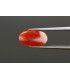 1.66 cts Natural Pearl - Moti (SKU:90073014)