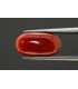3.04 cts Unheated Natural Blue Sapphire (Neelam)