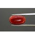 2.62 cts Unheated Natural Blue Sapphire (Neelam)