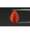 2.61 cts Unheated Natural Ruby (Manak)