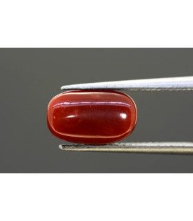 .84 ct Unheated Natural Ruby - Manak (SKU:90074530)