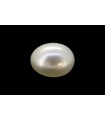 2.93 cts Cultured Pearl (Moti)