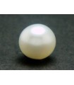 3.6 cts Cultured Pearl (Moti)