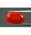 2.78 cts Cultured Pearl (Moti)