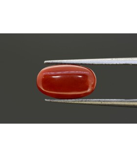 4.79 cts Natural Coral - Moonga (SKU:90080975)