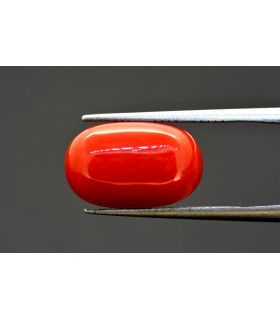 1.55 cts Natural Cats Eye - Lehsunia (SKU:90075261)