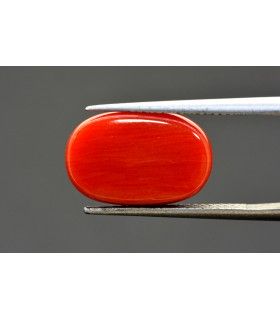 2.37 cts Natural Cats Eye (Lehsunia)