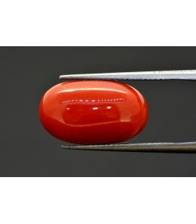 2.37 cts Natural Cats Eye (Lehsunia)