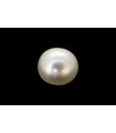 2.89 cts Cultured Pearl (Moti)