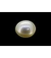2.34 cts Cultured Pearl (Moti)