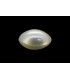 4.06 cts Cultured Pearl (Moti)
