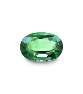 3.11 cts Natural Emerald (Panna)