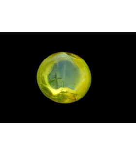 .77 ct Natural Cats Eye (Lehsunia)